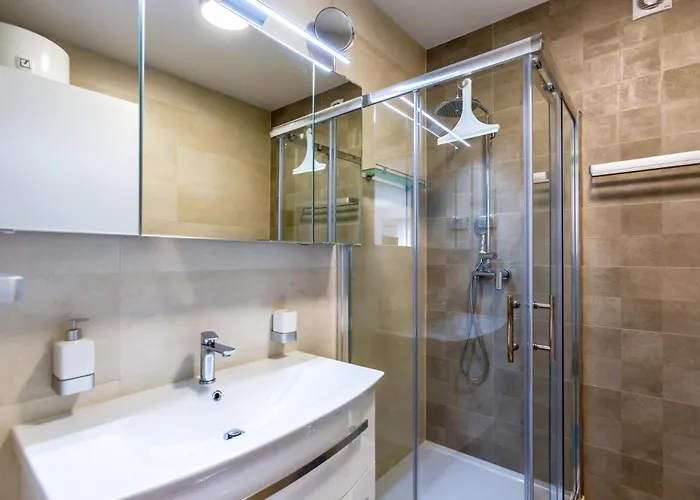 公寓 Brajdine 2 - As1 Veliki 梅杜林