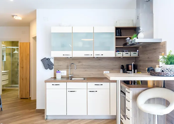 公寓 Brajdine 2 - As1 Veliki 梅杜林